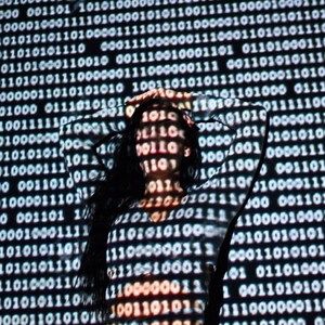 Meet your Posher, Ray